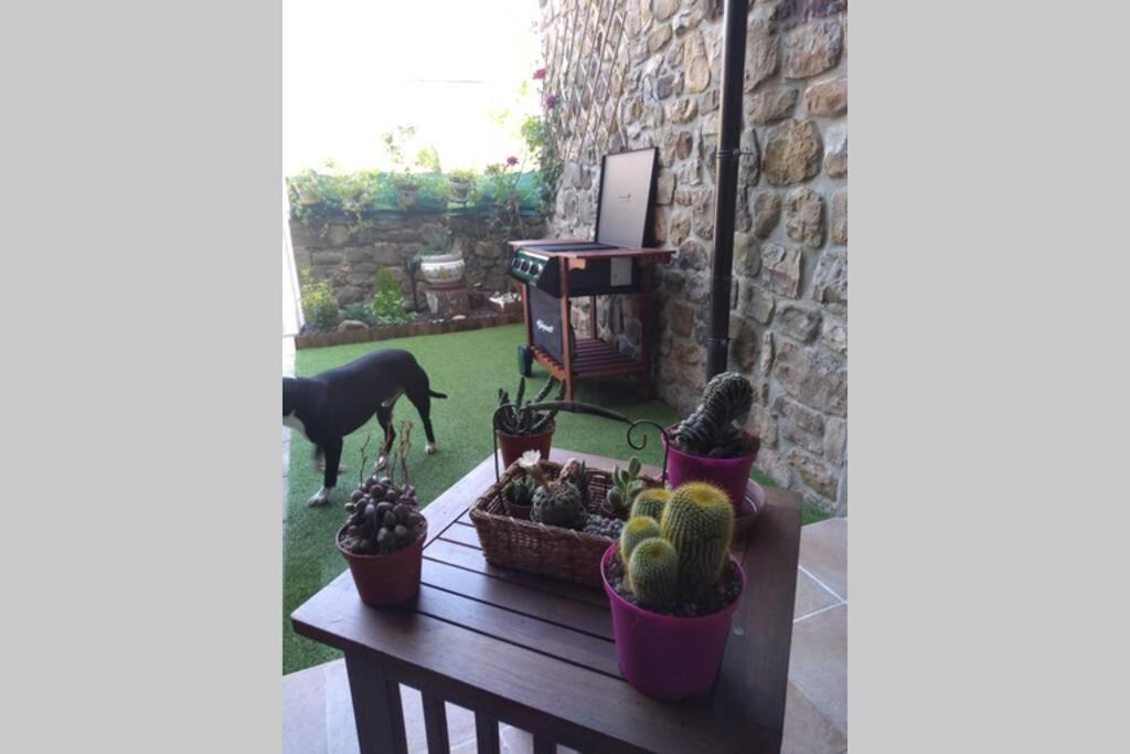 Casa Con Vistas En Ucieda Villa ภายนอก รูปภาพ